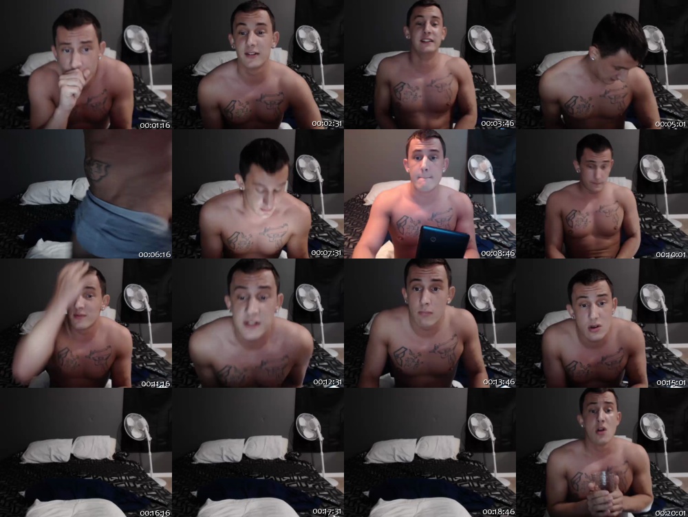 Trannys porno Females anal fucking shemales