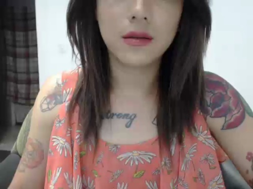transdaizy19 transdaizy19