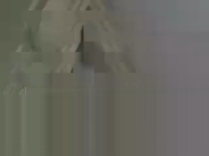 PAPISFUN 10-04-2018 