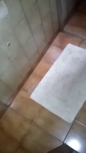 alexdotado2 17-04-2018 