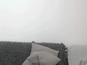 mastercock18 24-04-2018 