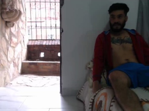 gatosrolo 24-04-2018 