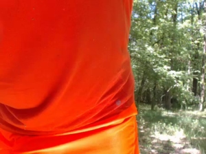 lepamplemous 02-05-2018 