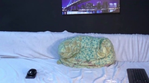 BillyBig22 11-06-2018 