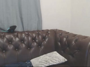Ash_Anderson 20-08-2018 