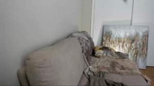 Image realhousewifexxx Chaturbate 30-08-2018