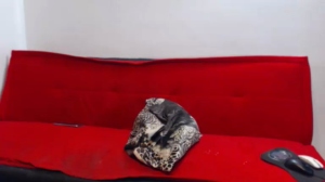 adam_diesel 04-09-2018 