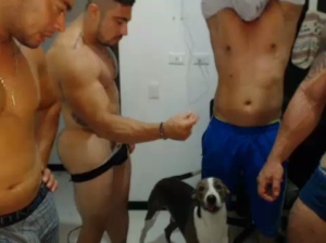 mateosexy22 25-10-2018 