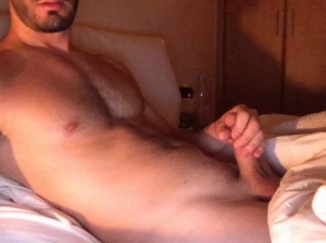 Goldencock08 02-11-2018 