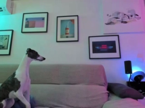 HuGo4K 14-11-2018 