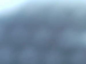 doovzl 16-11-2018 