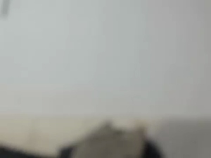 mastercock18 17-11-2018 