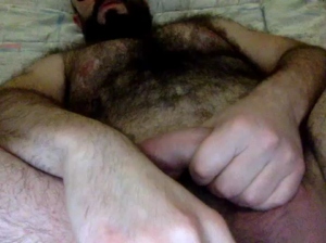 bear30x2 28-12-2018 