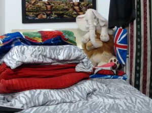 Julianexotic 30-12-2018 