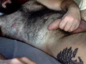 bear30x2 02-01-2019 
