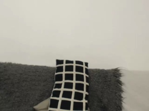 mastercock18 23-01-2019 