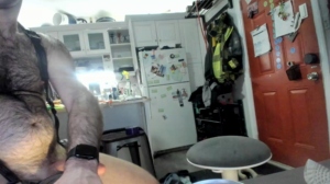 andyisaduck8 28-01-2019 
