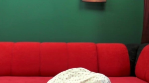 KevinFany 03-03-2019 