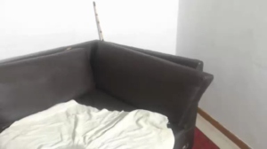 PAPISFUN 05-03-2019 