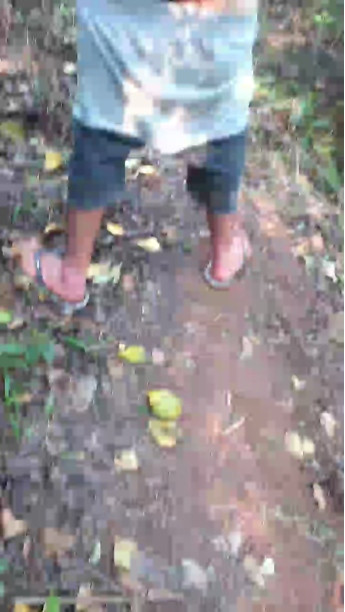 Lobooo19cm  03-10-2020 Recorded Video Download