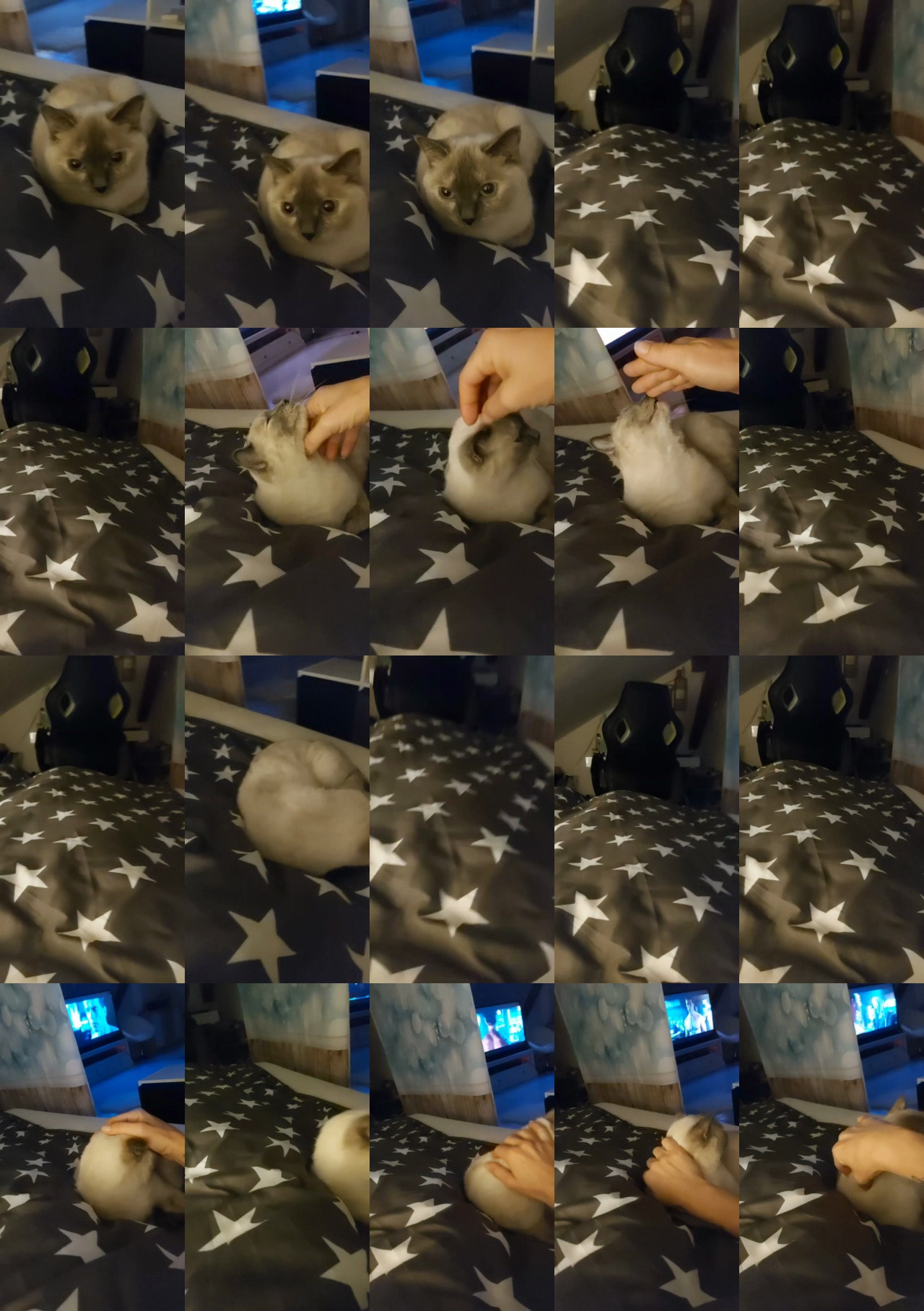 BlueEye_Girl 10-10-2020 XXX 
