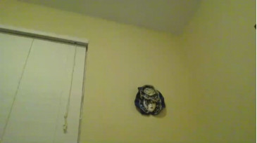 Wendysgangang  11-10-2020 video taboo