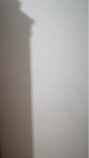 Trunksforfun  14-10-2020 Recorded Video Webcam
