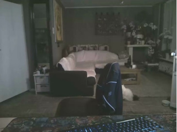 mihaimichael  18-10-2020 Recorded Video Webcam