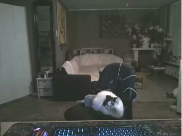 mihaimichael  19-10-2020 Recorded Video Naked