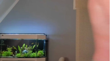 ronhill13  22-10-2020 Recorded Video Show