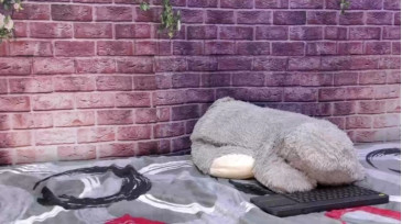 Kevindelvin  22-10-2020 video milky