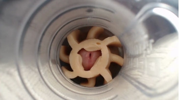 Jeffrodgerschaturbat  26-10-2020 video creamy