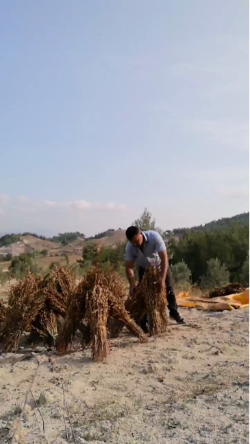 kasket45  27-10-2020 Recorded Video Cam