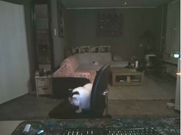 mihaimichael  27-10-2020 Recorded Video Porn