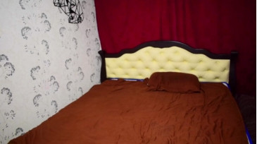 Hotdogswaitingaports  27-10-2020 video nature