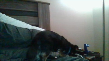 Usernamehere17  28-10-2020 video exotic