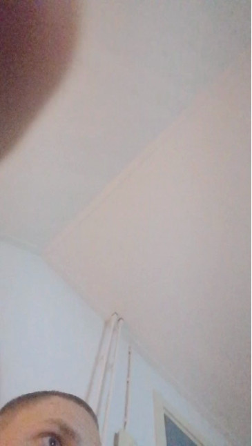 rippy1  31-10-2020 Recorded Video Webcam