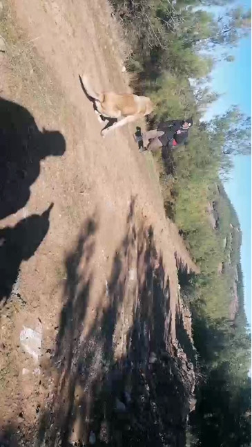 kasket45  02-11-2020 Recorded Video XXX