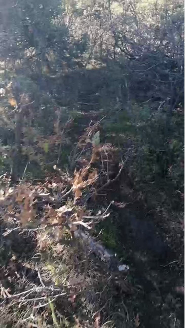 kasket45  02-11-2020 Recorded Video Cam