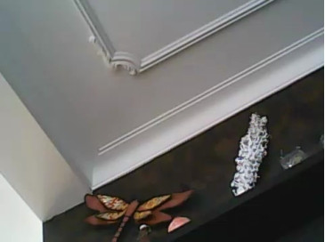underwearst1990  03-11-2020 Recorded Video Nude