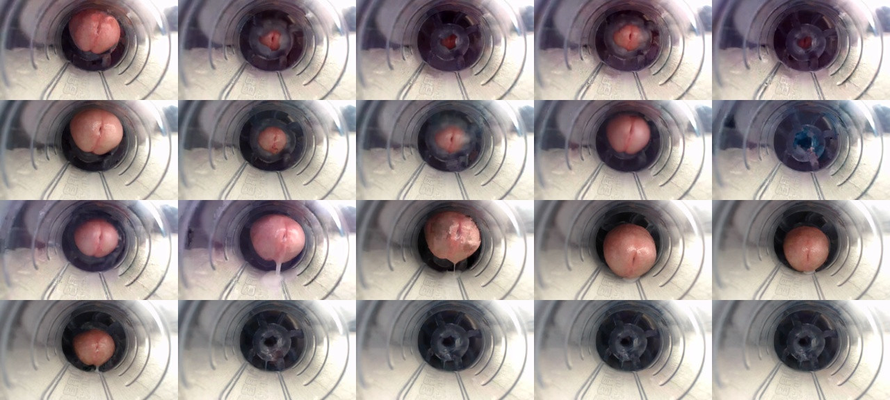 Jeffrodgerschaturbat  05-11-2020 video nipples