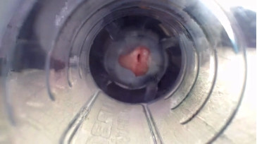 Jeffrodgerschaturbat  05-11-2020 video nipples