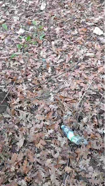 sexgreekfree  09-11-2020 Recorded Video Naked