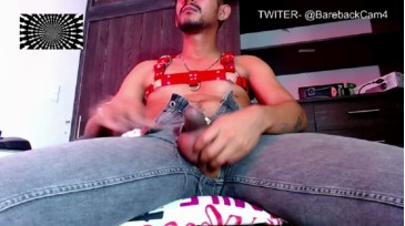 BarebackCumPig  10-11-2020 Recorded Video Download