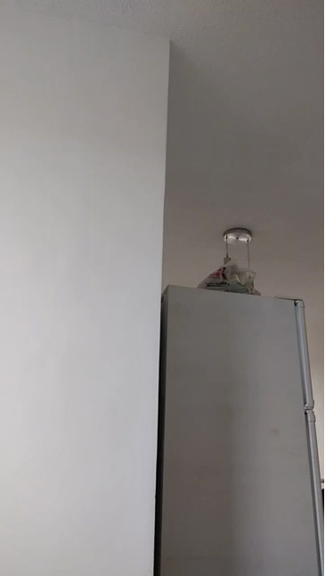 SophiaCooper1 10-11-2020 Naked 