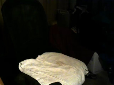 CamCockAms  11-11-2020 Recorded Video Cam