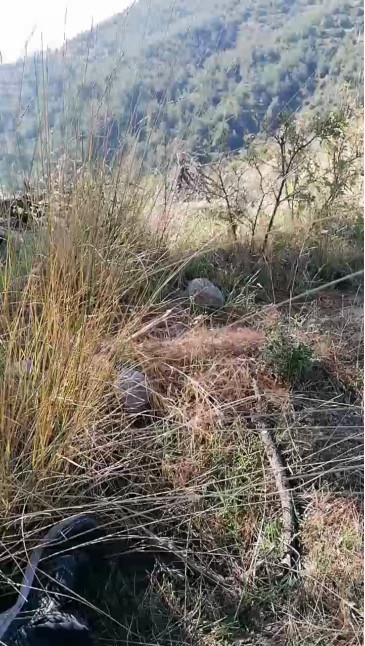 kasket45  11-11-2020 Recorded Video Show