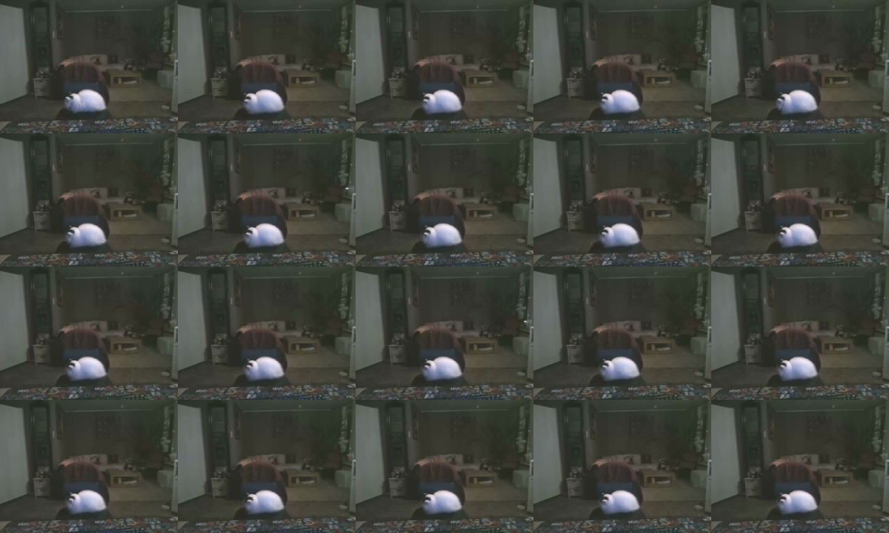 Razuka  12-11-2020 Recorded Video Show