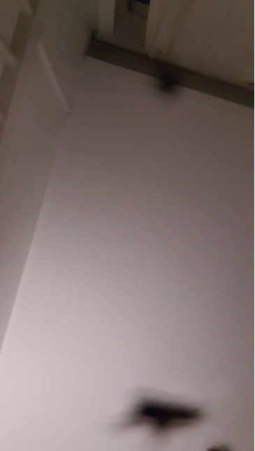 ghbxtc  13-11-2020 Recorded Video Topless