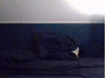 DutchGuy20  14-11-2020 Recorded Video Webcam